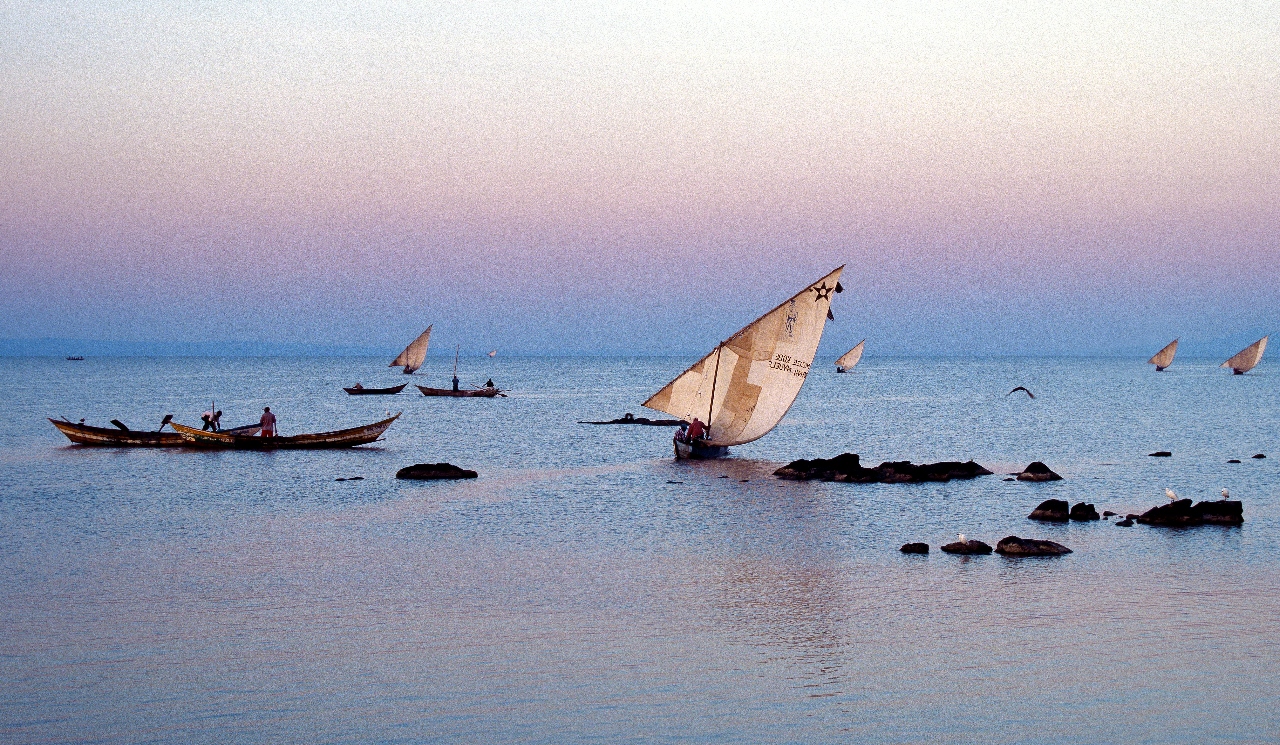 Lake Victoria perch